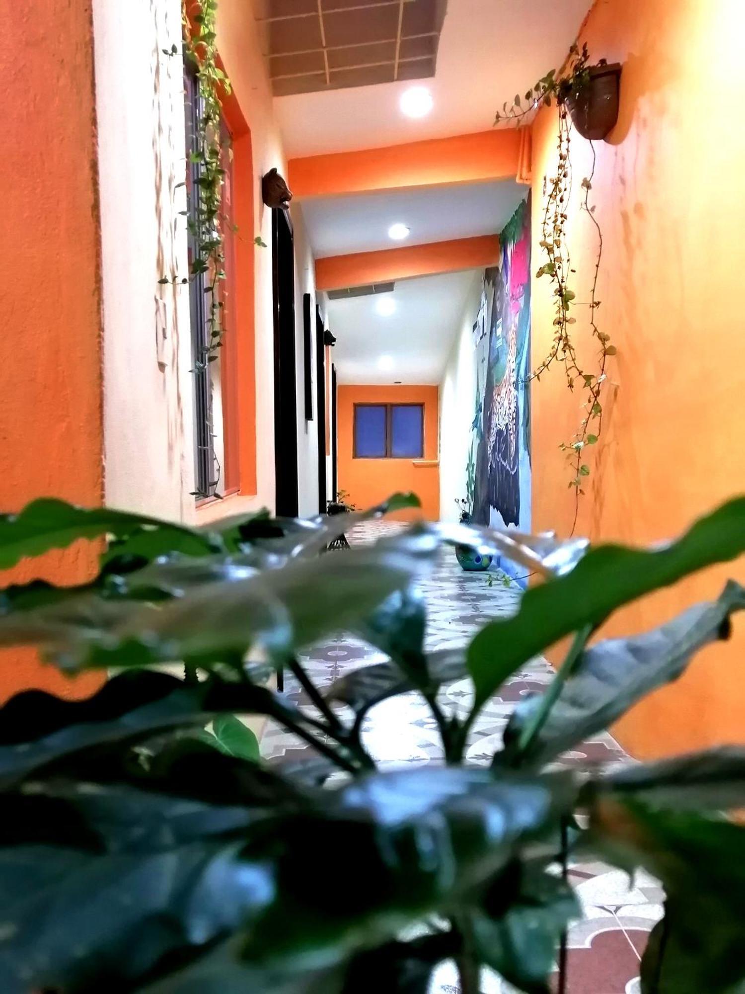 Hotel Amayal San Cristóbal de Las Casas Buitenkant foto