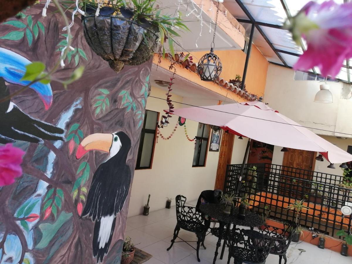 Hotel Amayal San Cristóbal de Las Casas Buitenkant foto
